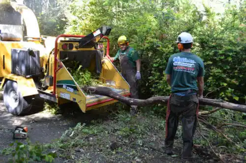 tree services Third Lake